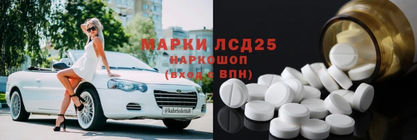 ГАЛЛЮЦИНОГЕННЫЕ ГРИБЫ Елабуга