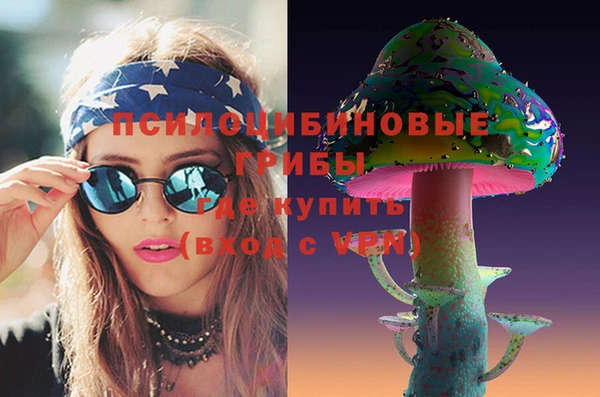 ГАЛЛЮЦИНОГЕННЫЕ ГРИБЫ Елабуга