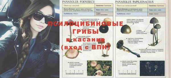 a pvp Балахна
