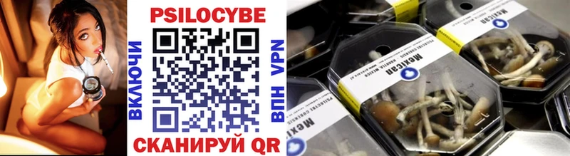 наркотики  Ессентуки  Псилоцибиновые грибы мухоморы 
